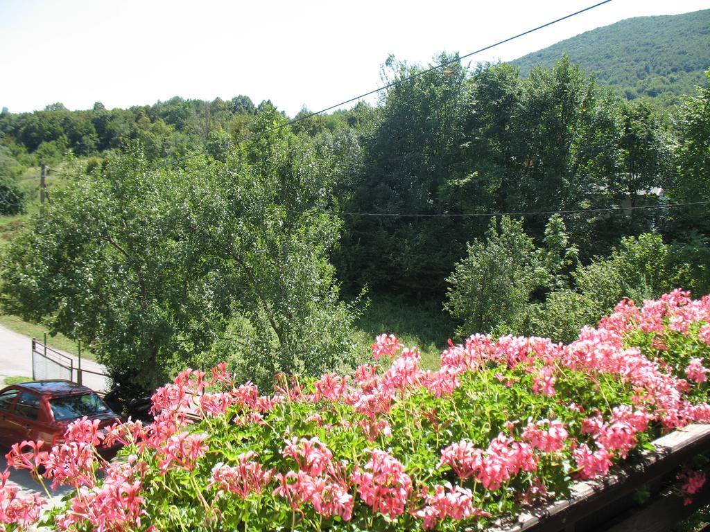 Gasthaus House Zlatko Selište Drežničko Exterior foto