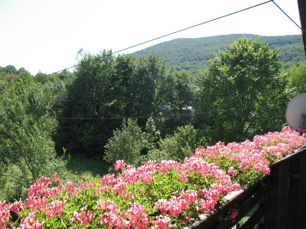 Gasthaus House Zlatko Selište Drežničko Exterior foto